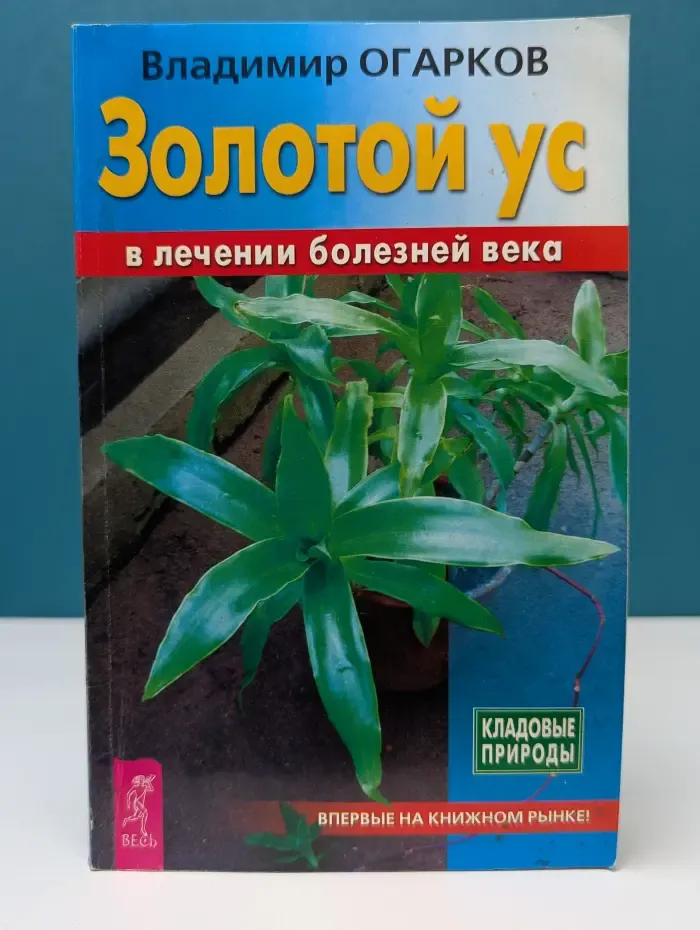 Кладовые природы. Золотой ус в лечении болезней века