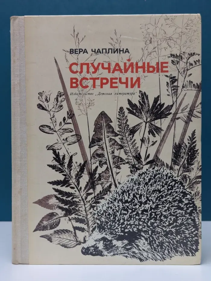 Случайные встречи
