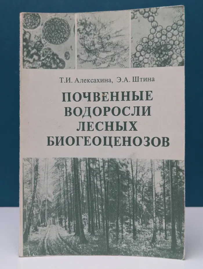 Почвенные водоросли лесных биогеоценозов
