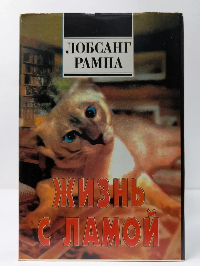 Жизнь с Ламой