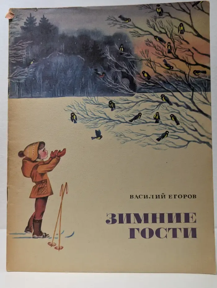 Зимние гости