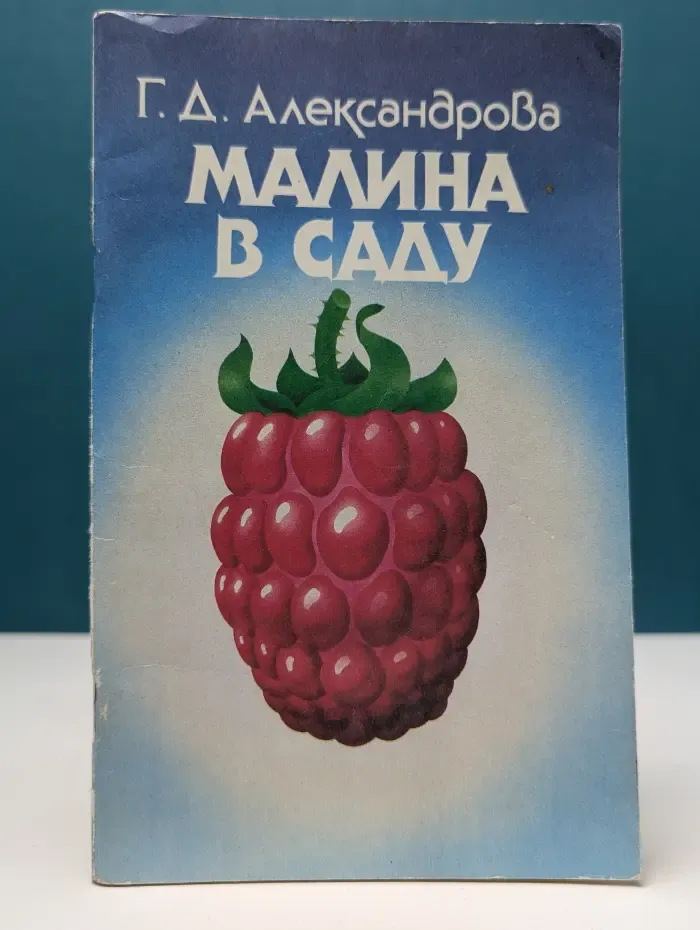 Малина в саду