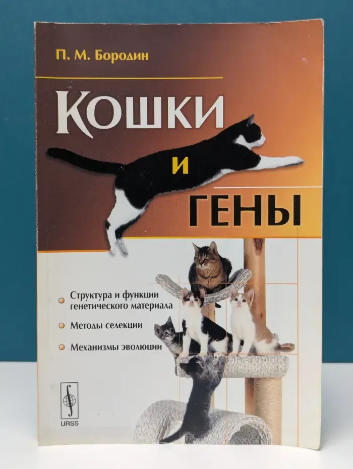 Кошки и гены