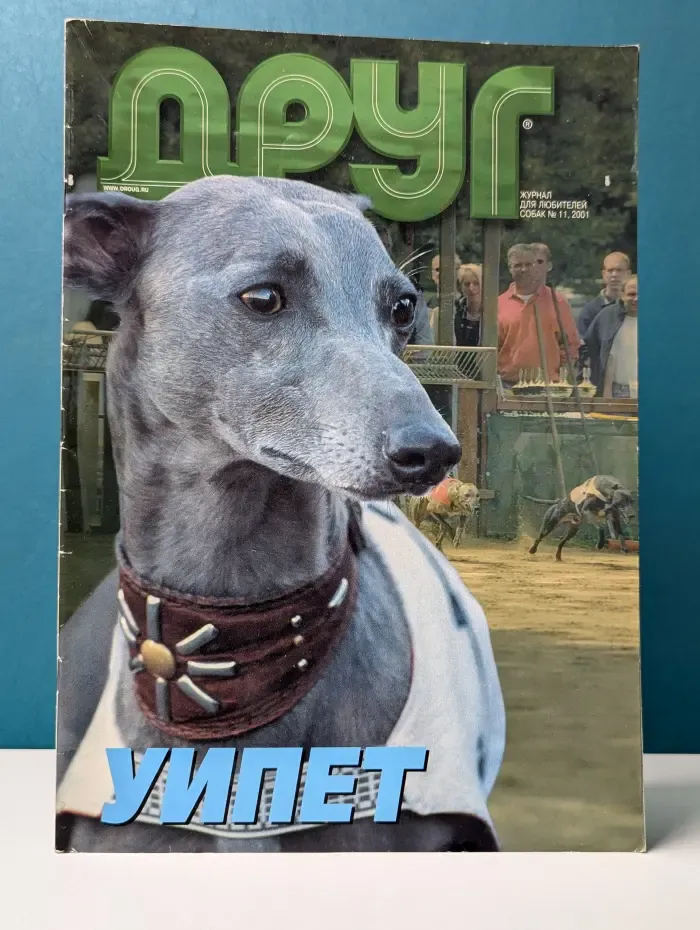 Друг. Выпуск № 11/2001
