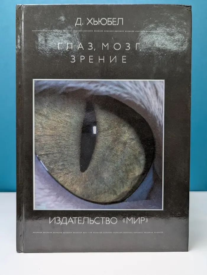Глаз, мозг, зрение