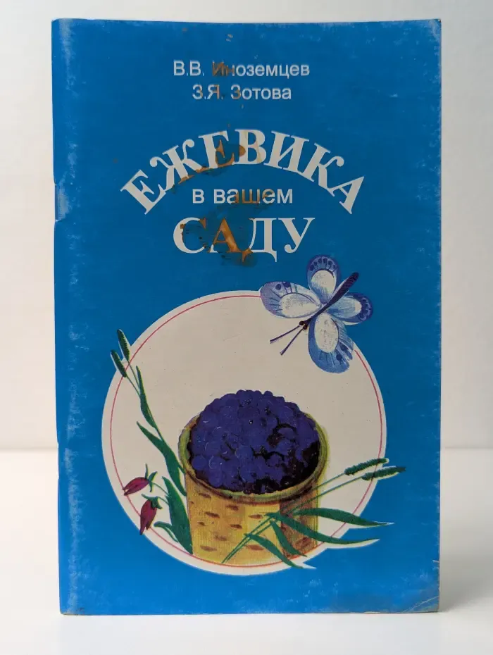 Ежевика в вашем саду