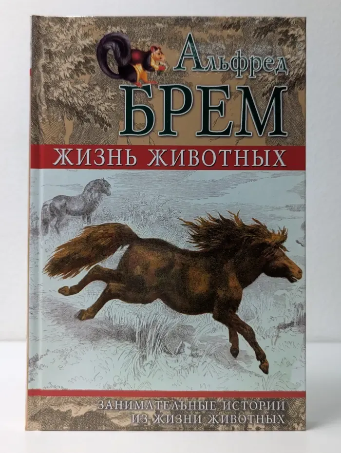 Жизнь животных. Занимательные истории из жизни животных
