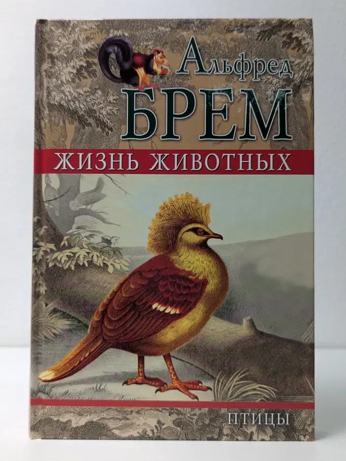 Жизнь животных. Том 3. Птицы
