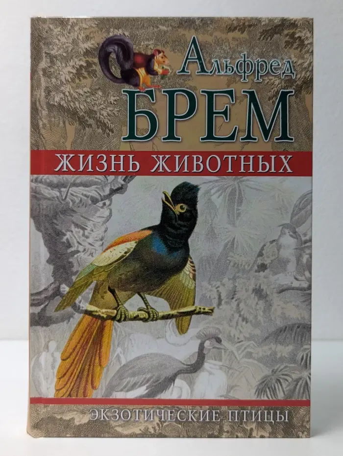 Жизнь животных. Экзотические птицы