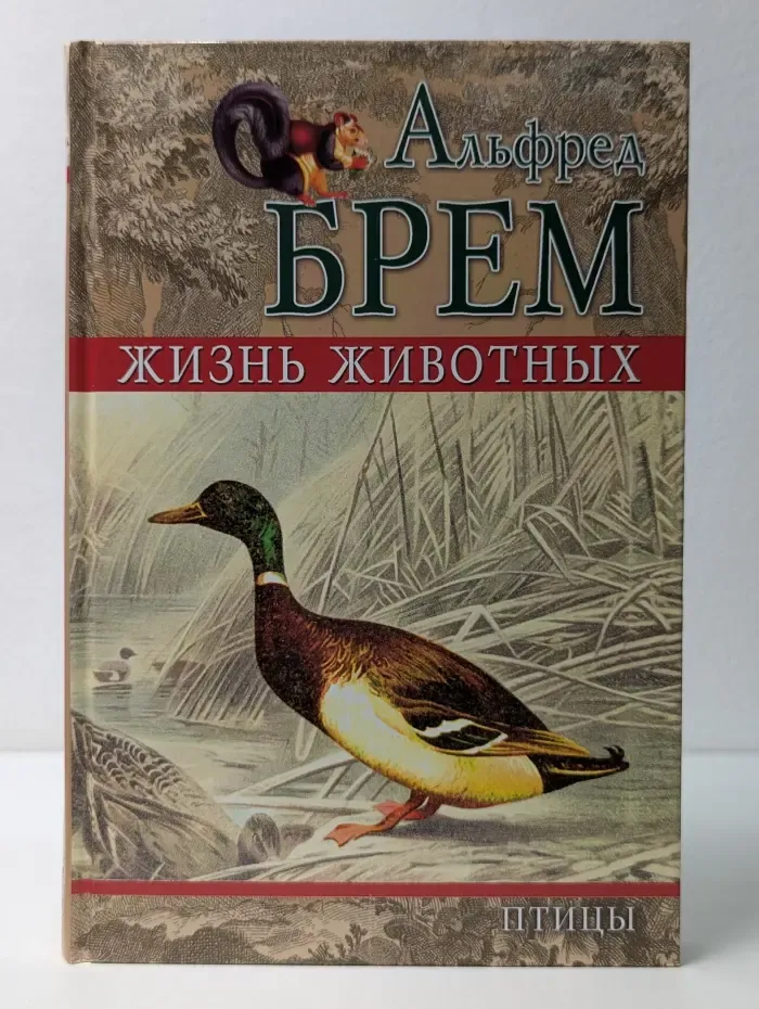 Жизнь животных. Том 5. Птицы
