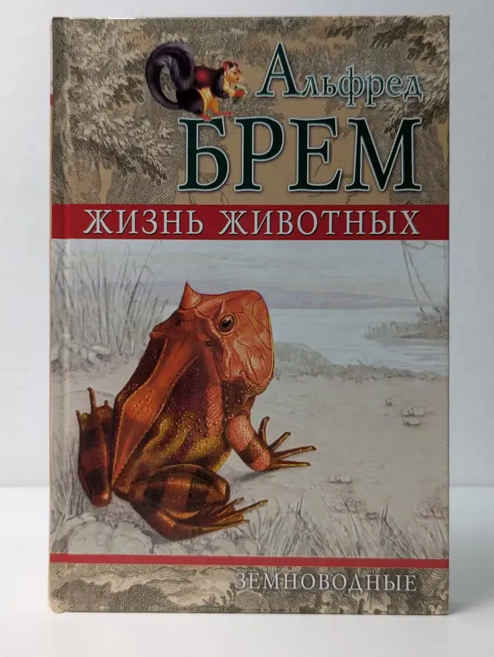 Жизнь животных. Земноводные