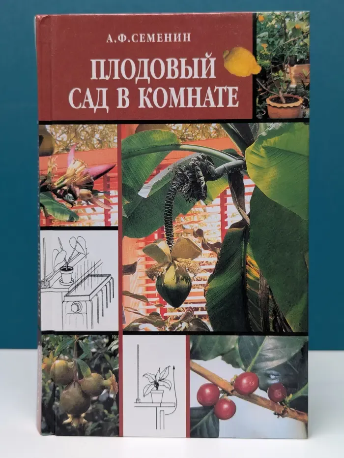 Плодовый сад в комнате