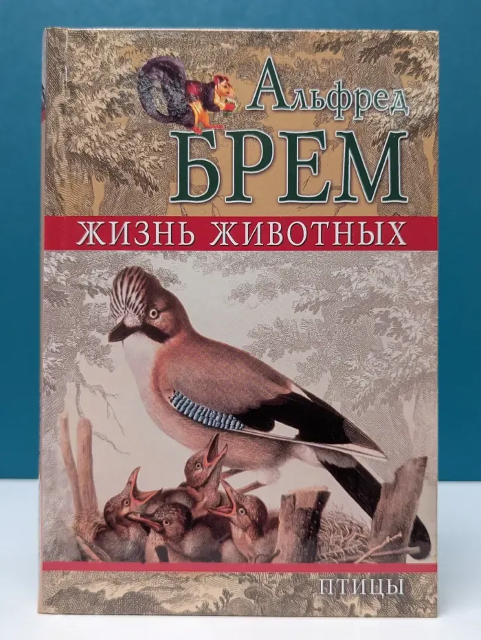 Жизнь животных. Том 1. Птицы