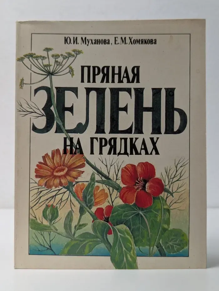 Пряная зелень на грядках