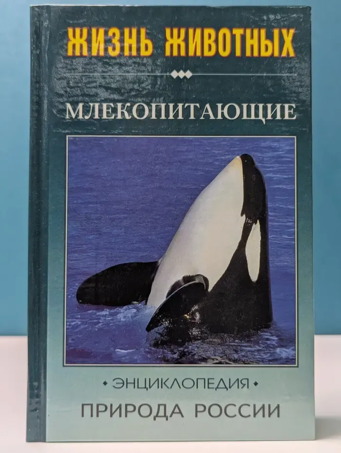 Природа России: жизнь животных. Млекопитающие (часть 2)