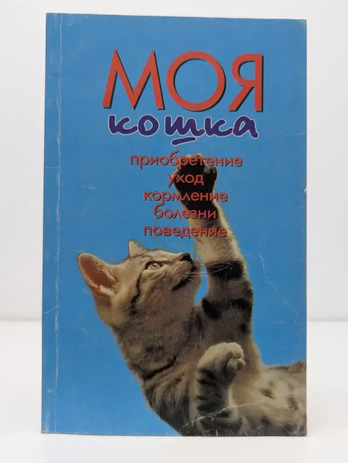 Моя кошка