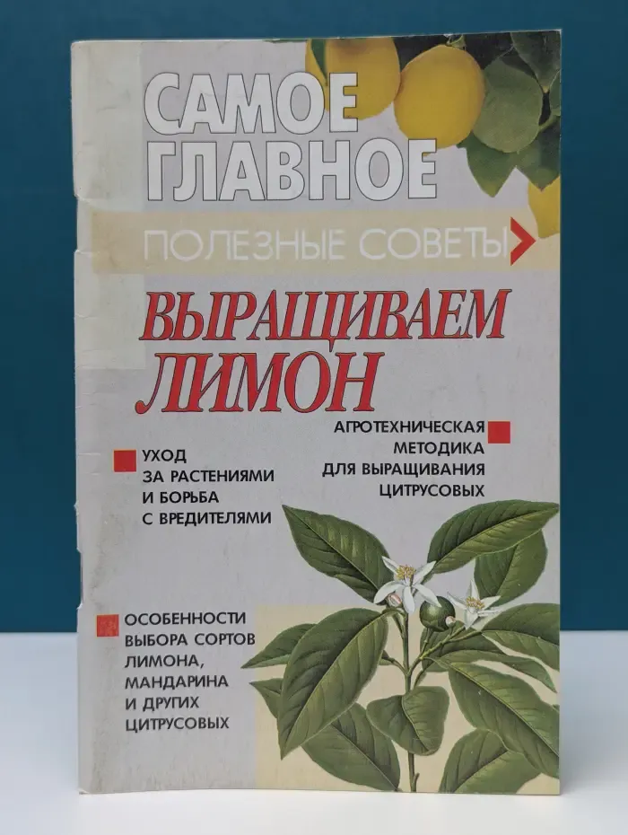 Самое главное. Выращиваем лимон