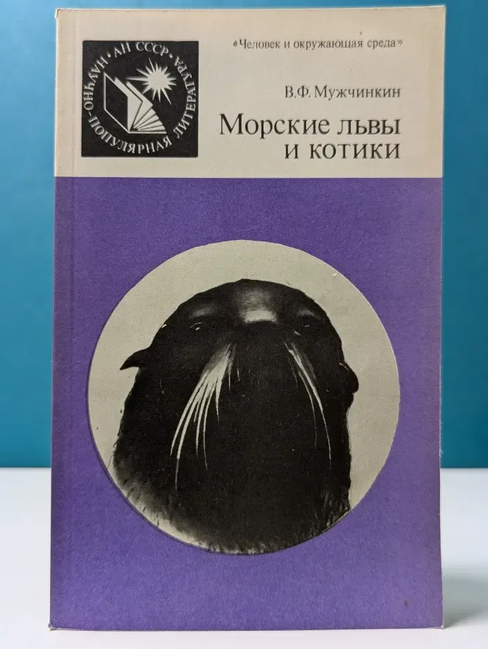 Человек и окружающая среда. Морские львы и котики