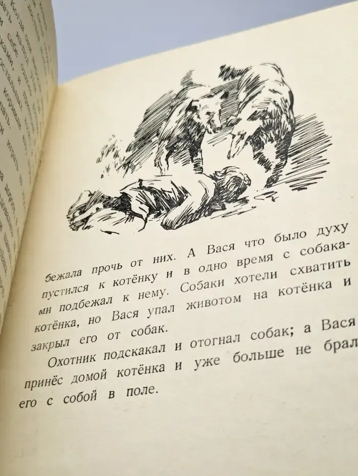 Рассказы
