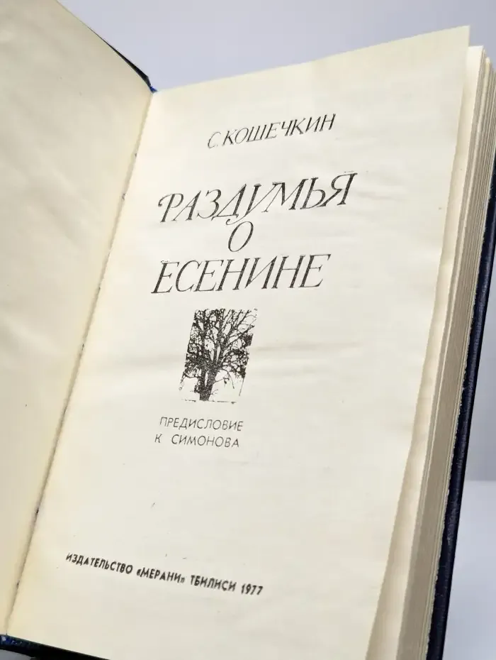 Раздумья о Есенине