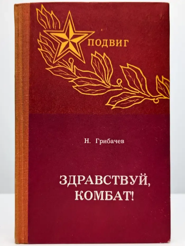 Здравствуй, комбат!