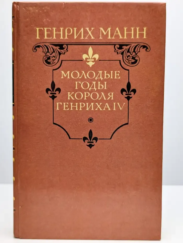 Молодые годы короля Генриха IV