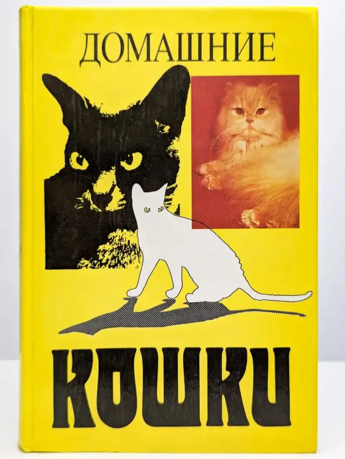 Домашние кошки