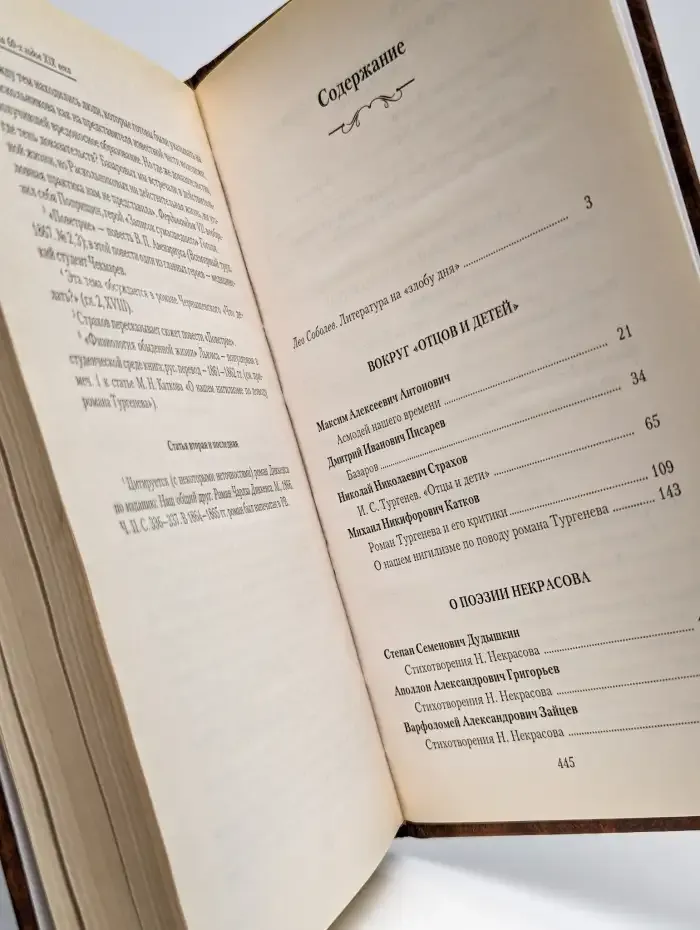 Критика 60-х годов XIX века