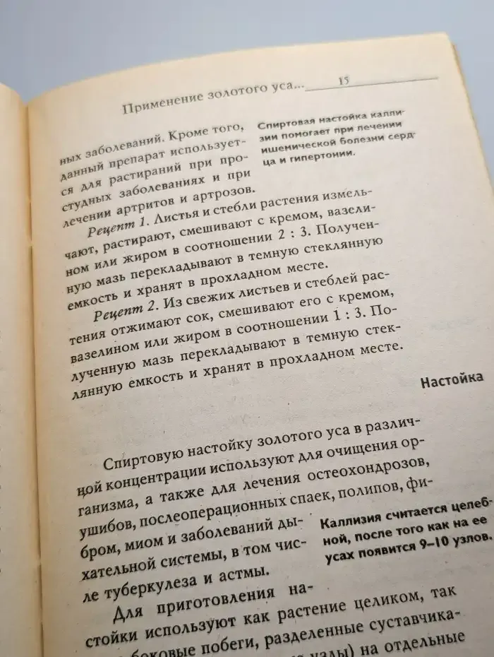 Золотой ус - домашний доктор