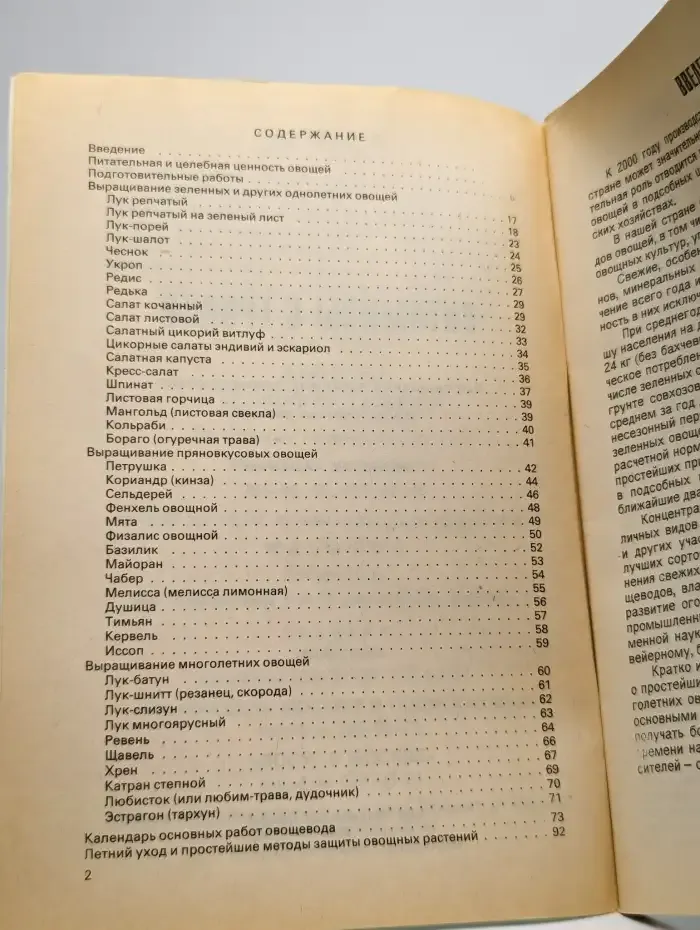Витамины с грядки