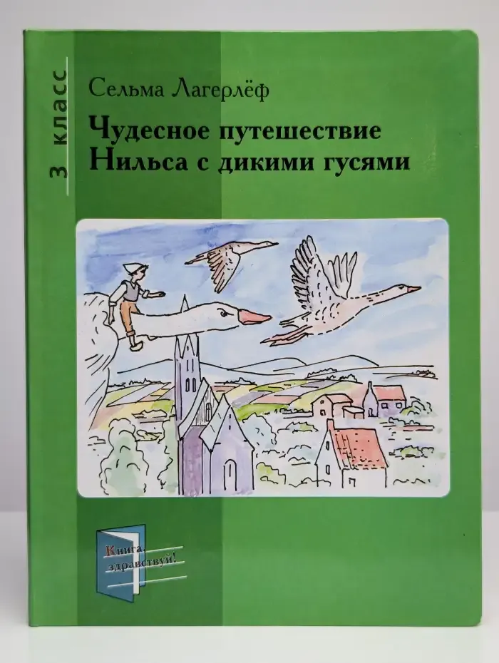 Чудесное путешествие Нильса с дикими гусями. 3 класс