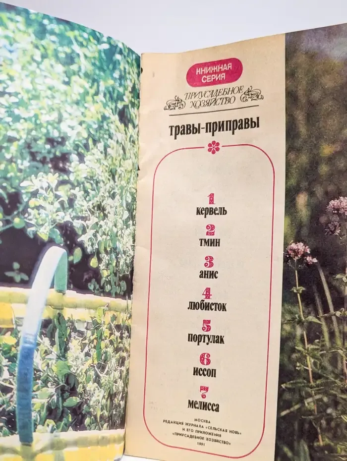 Травы-приправы