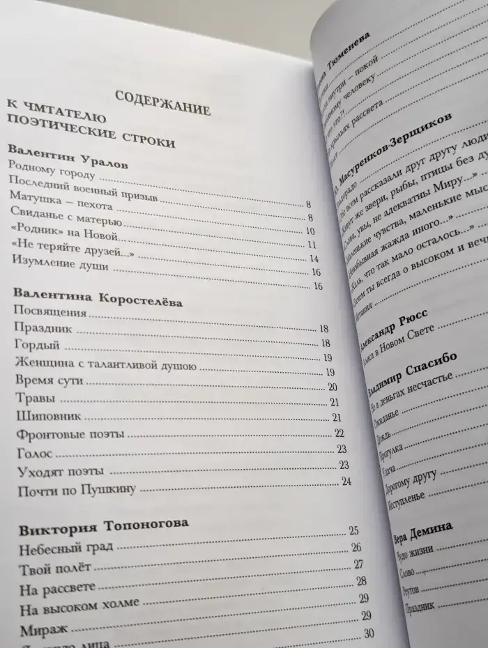 Созвучие (2006 - 2008)