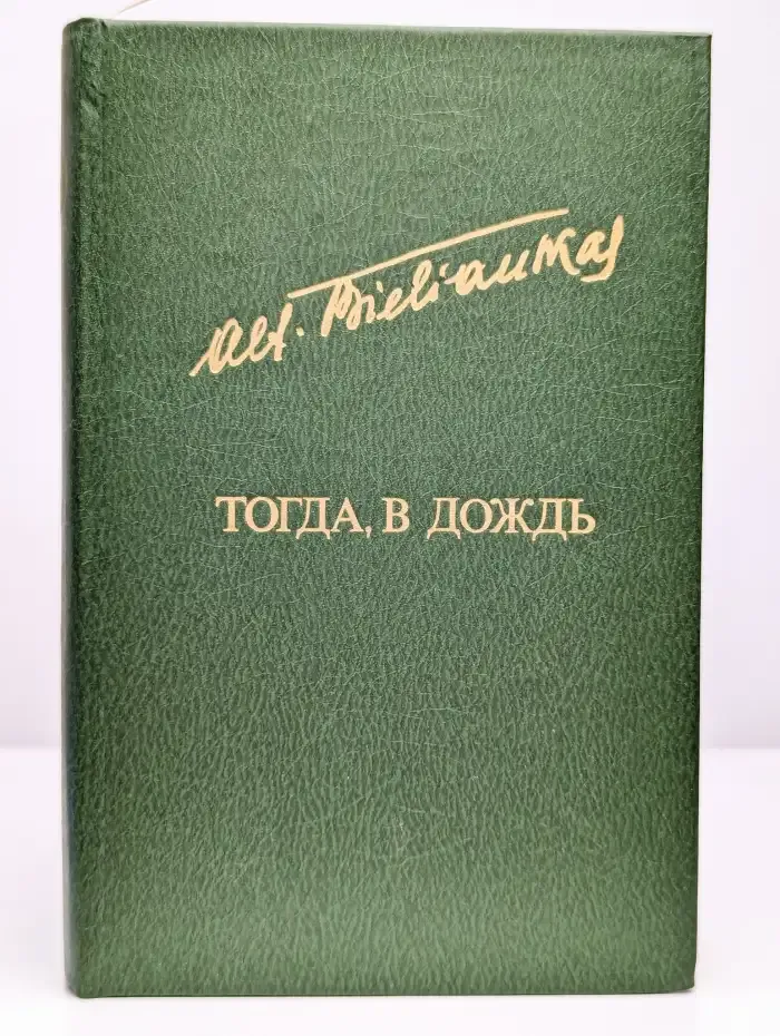 Тогда, в дождь