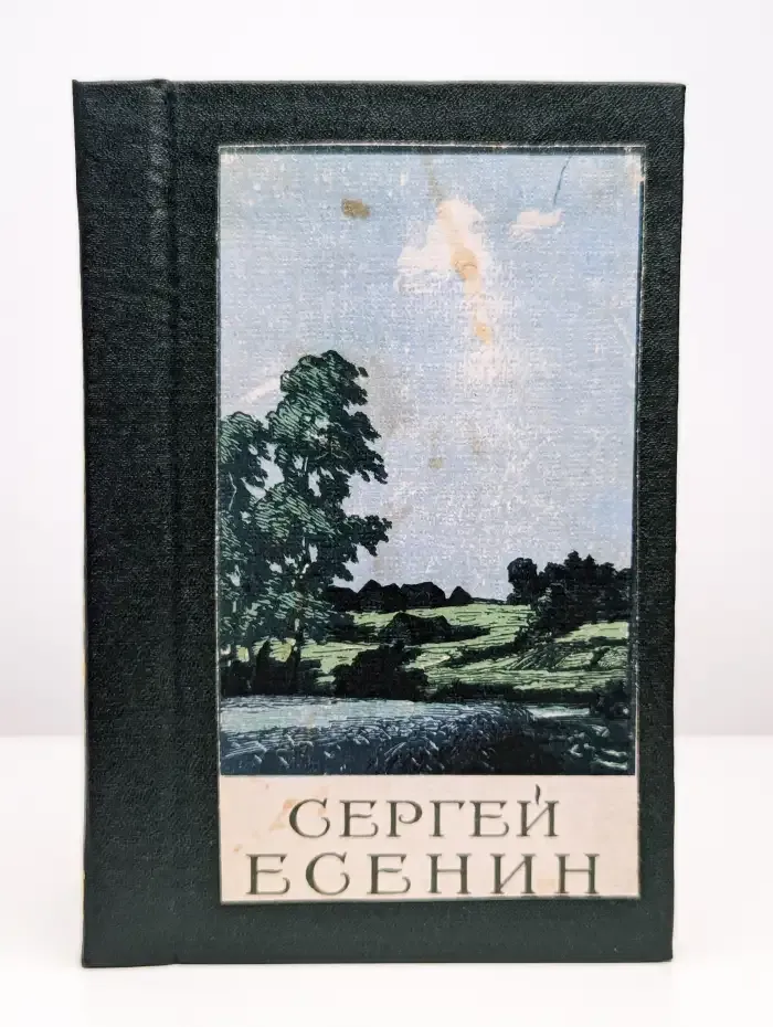 Сергей Есенин. Сочинения в двух томах. Том 2