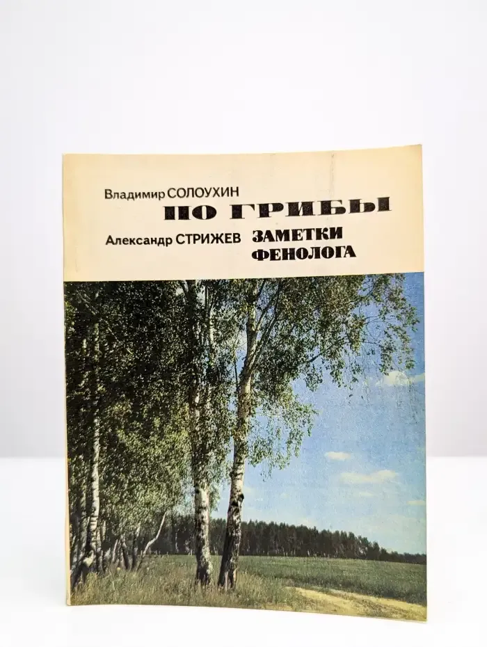 По грибы. Заметки фенолога