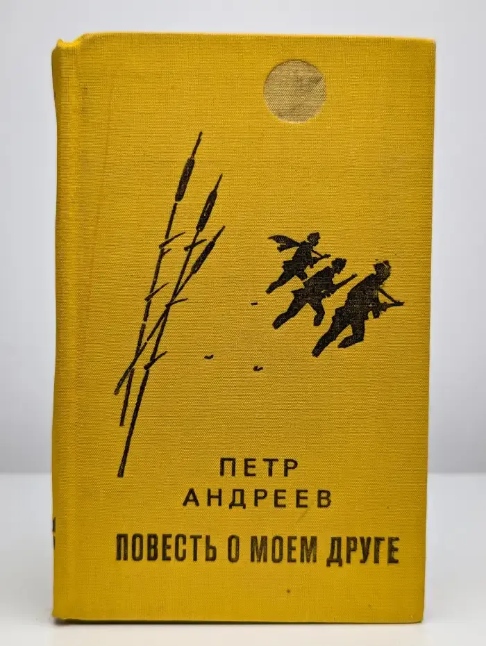 Повесть о моем друге