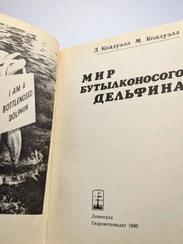 Мир бутылконосого дельфина
