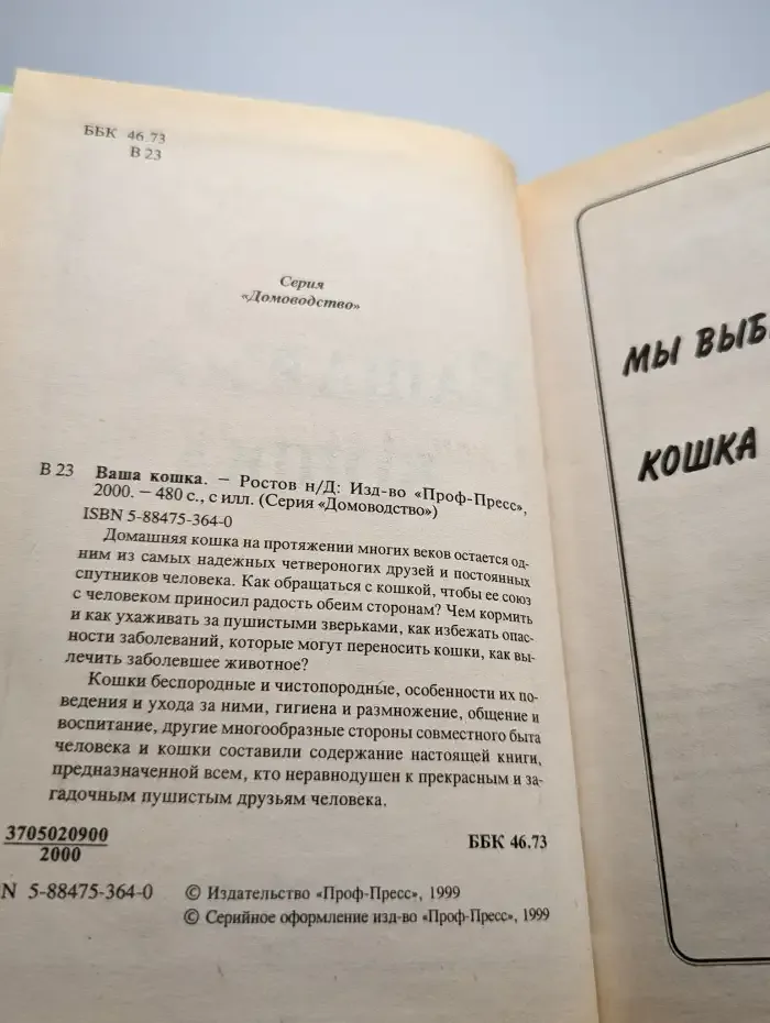 Ваша кошка