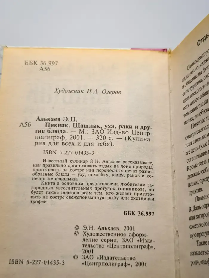 Пикник. Шашлык, уха, раки и другие блюда