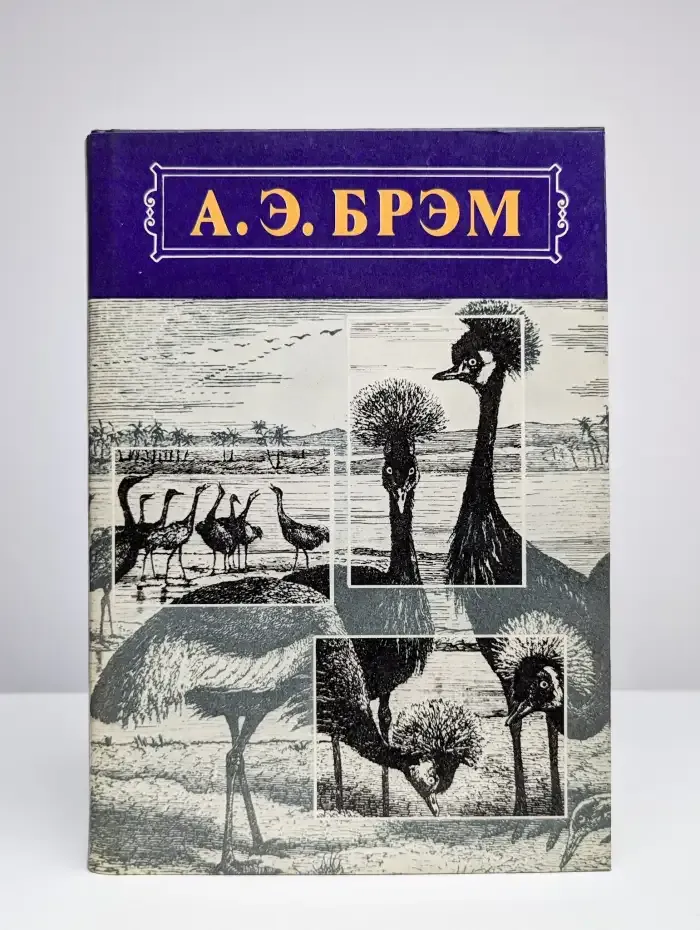 А. Э. Брэм. Жизнь животных. Птицы. В 3 томах. Том 2