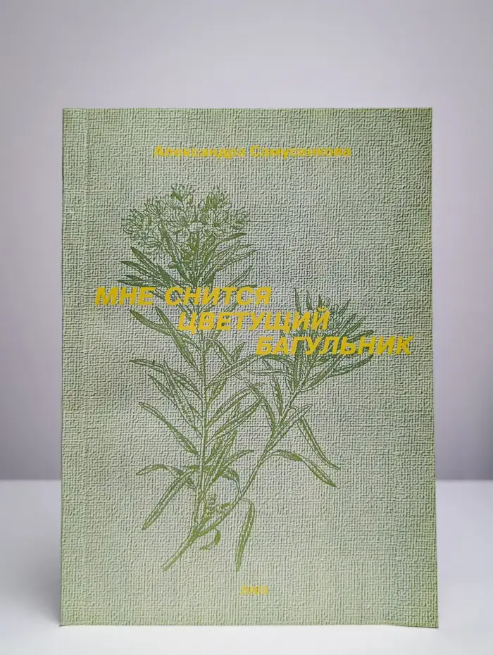 Мне снится цветущий багульник