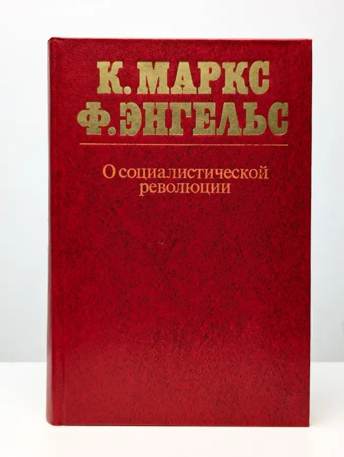 О социалистической революции
