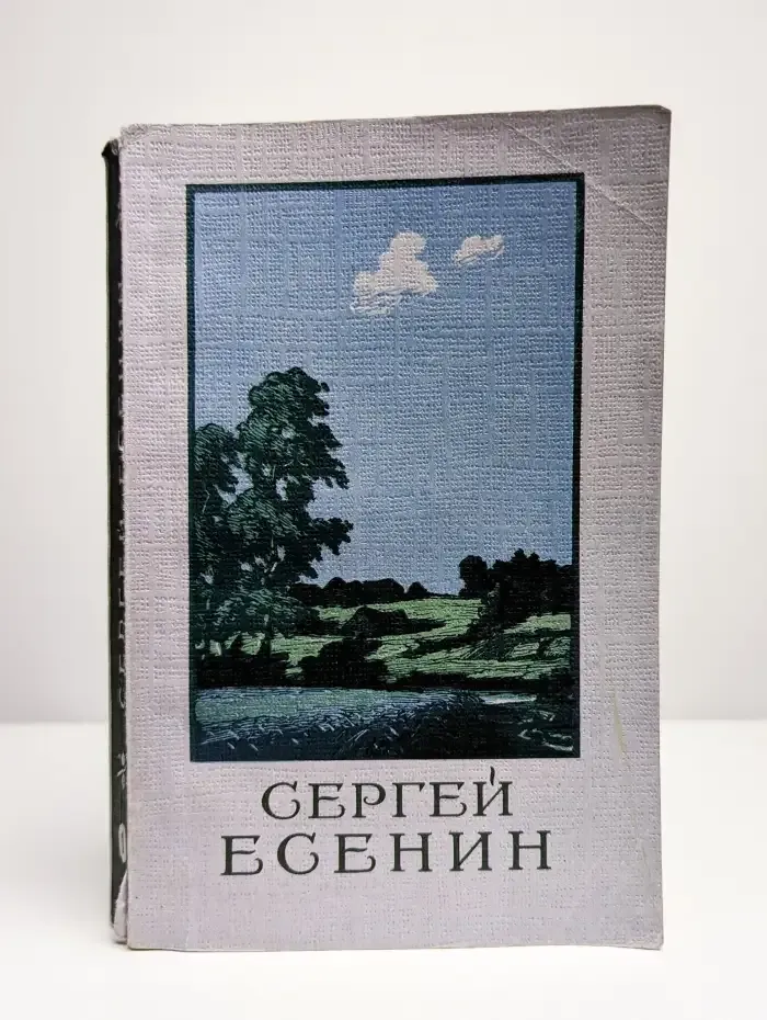 Сергей Есенин. Стихотворения. Том 1
