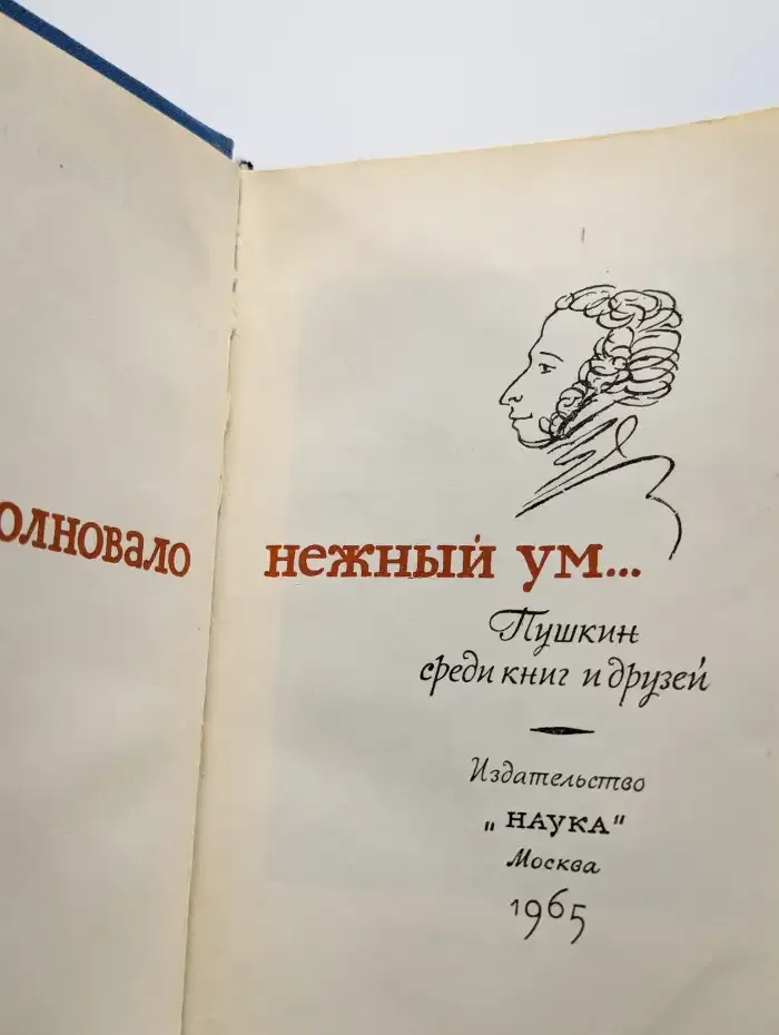 Все волновало нежный ум