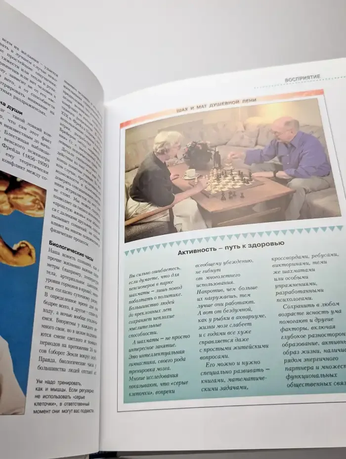Мысль. Разум. Интеллект