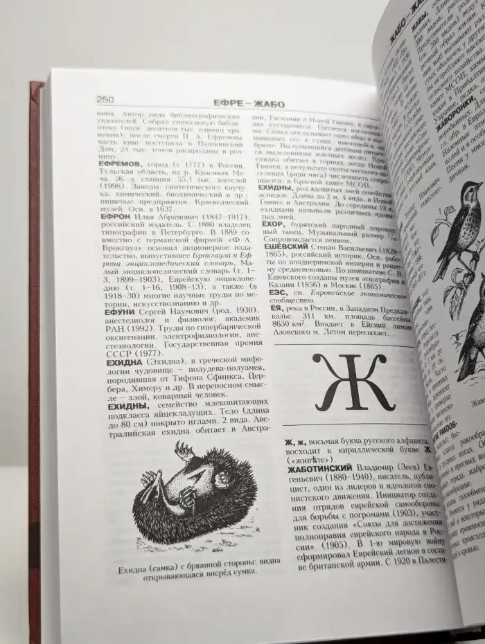 Новая иллюстрированная энциклопедия. Книга 6. Да-Жа
