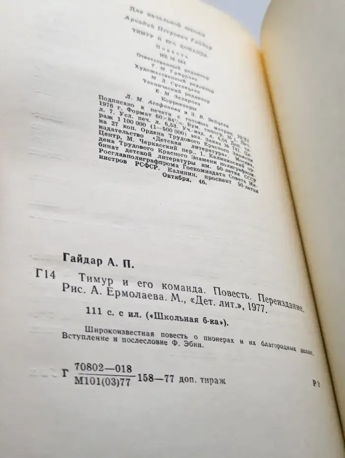 Тимур и его команда