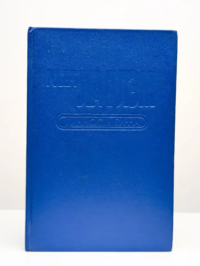 Личность Бурна