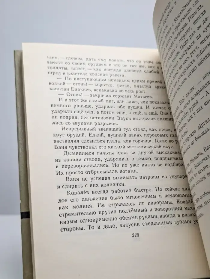 Сын полка